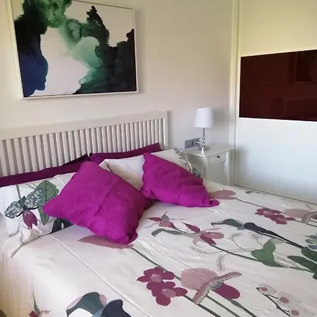 315 En Paseo Maritimo 96 Appartement *